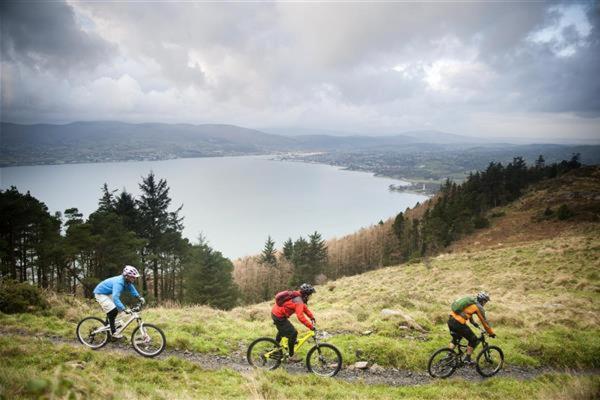 East Coast Adventure Centre Glamping Hotel Rostrevor Kültér fotó