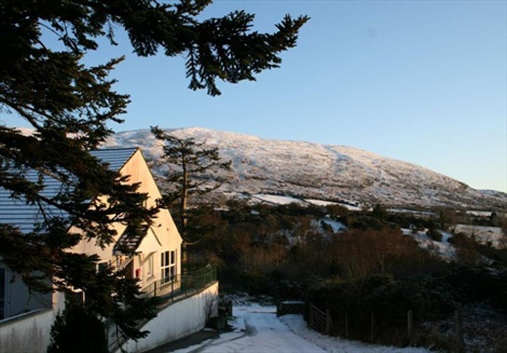 East Coast Adventure Centre Glamping Hotel Rostrevor Kültér fotó