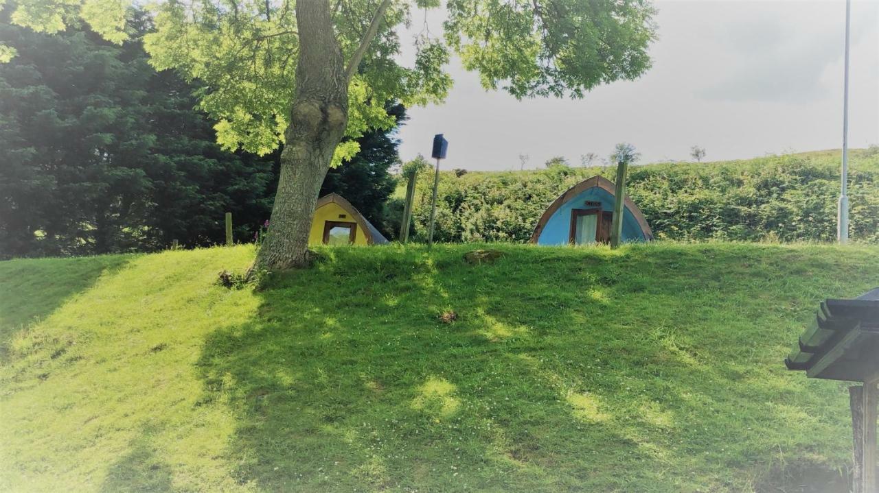East Coast Adventure Centre Glamping Hotel Rostrevor Kültér fotó