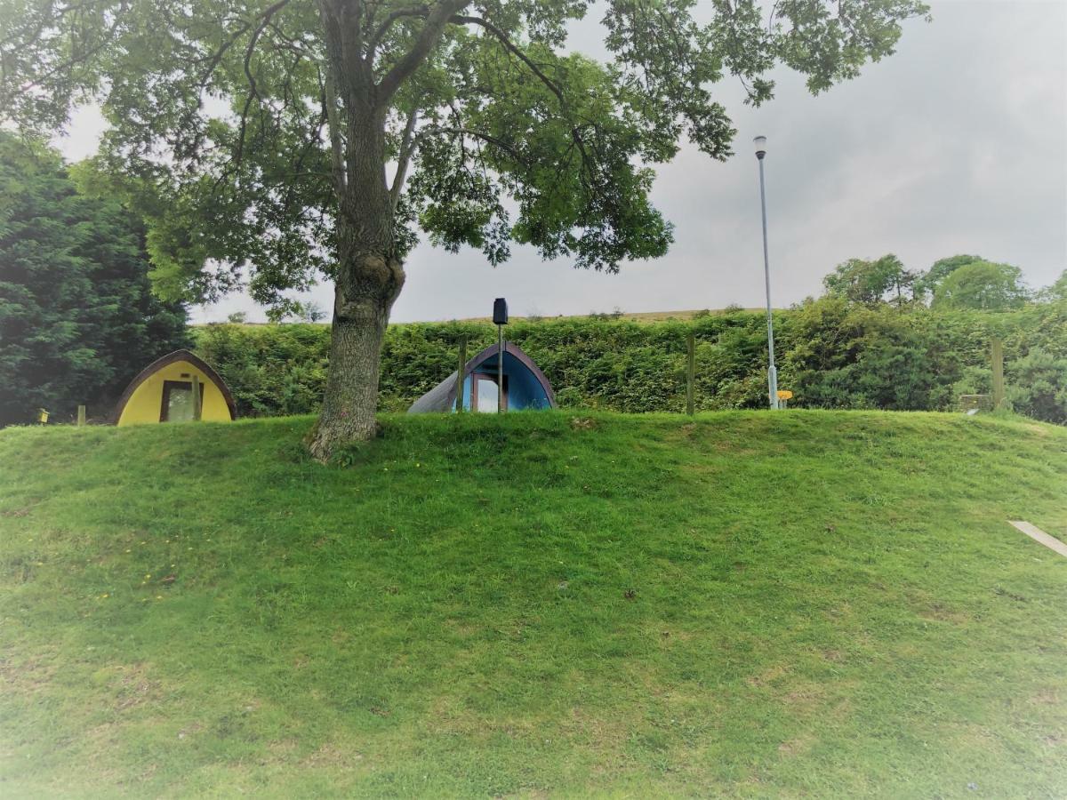 East Coast Adventure Centre Glamping Hotel Rostrevor Kültér fotó